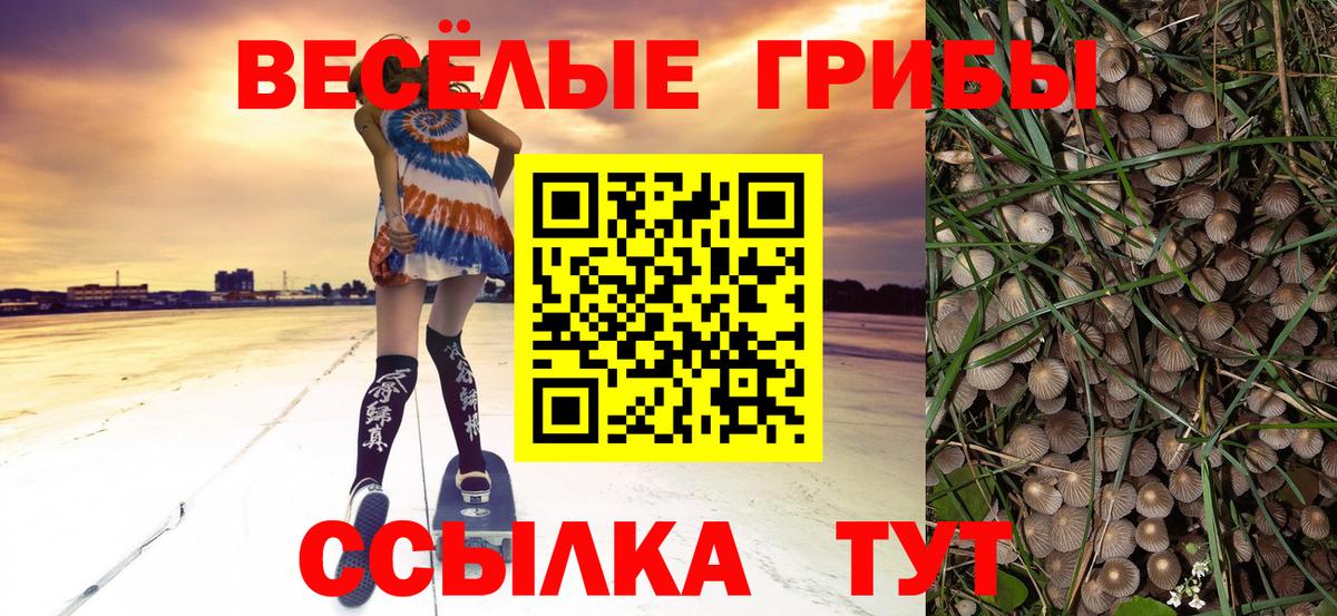 Галлюциногенные грибы Psilocybe  Вход с VPN  Сергиев Посад  Псилоцибиновые грибы GOLDEN TEACHER 